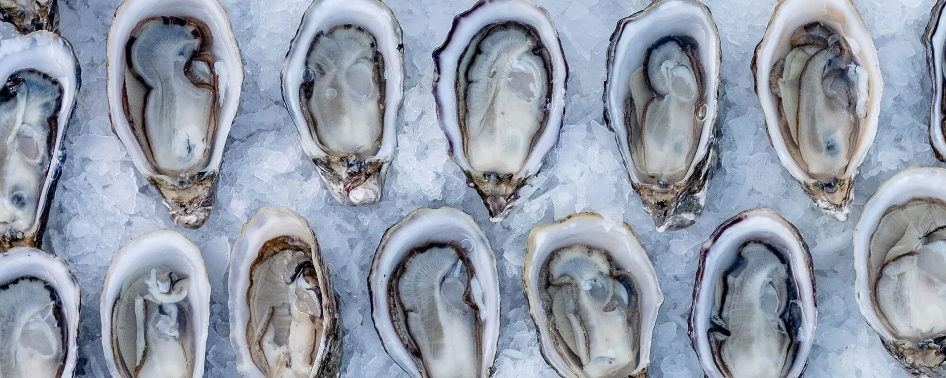 Fresh Oysters From Our Tide